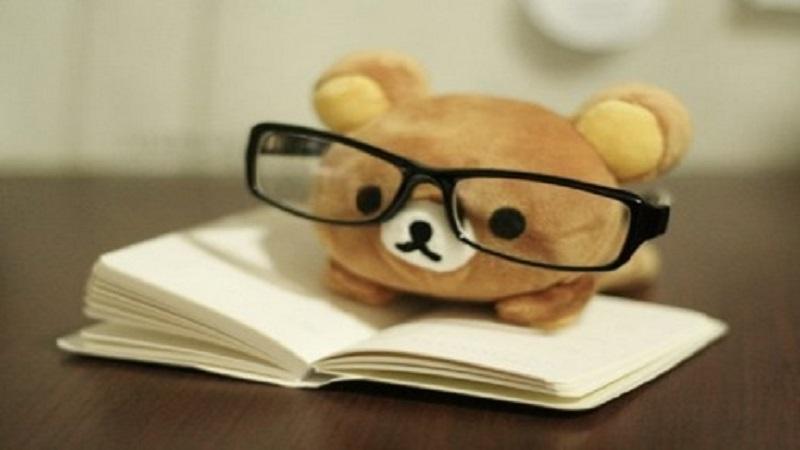 福建成人高考 錄取通知書